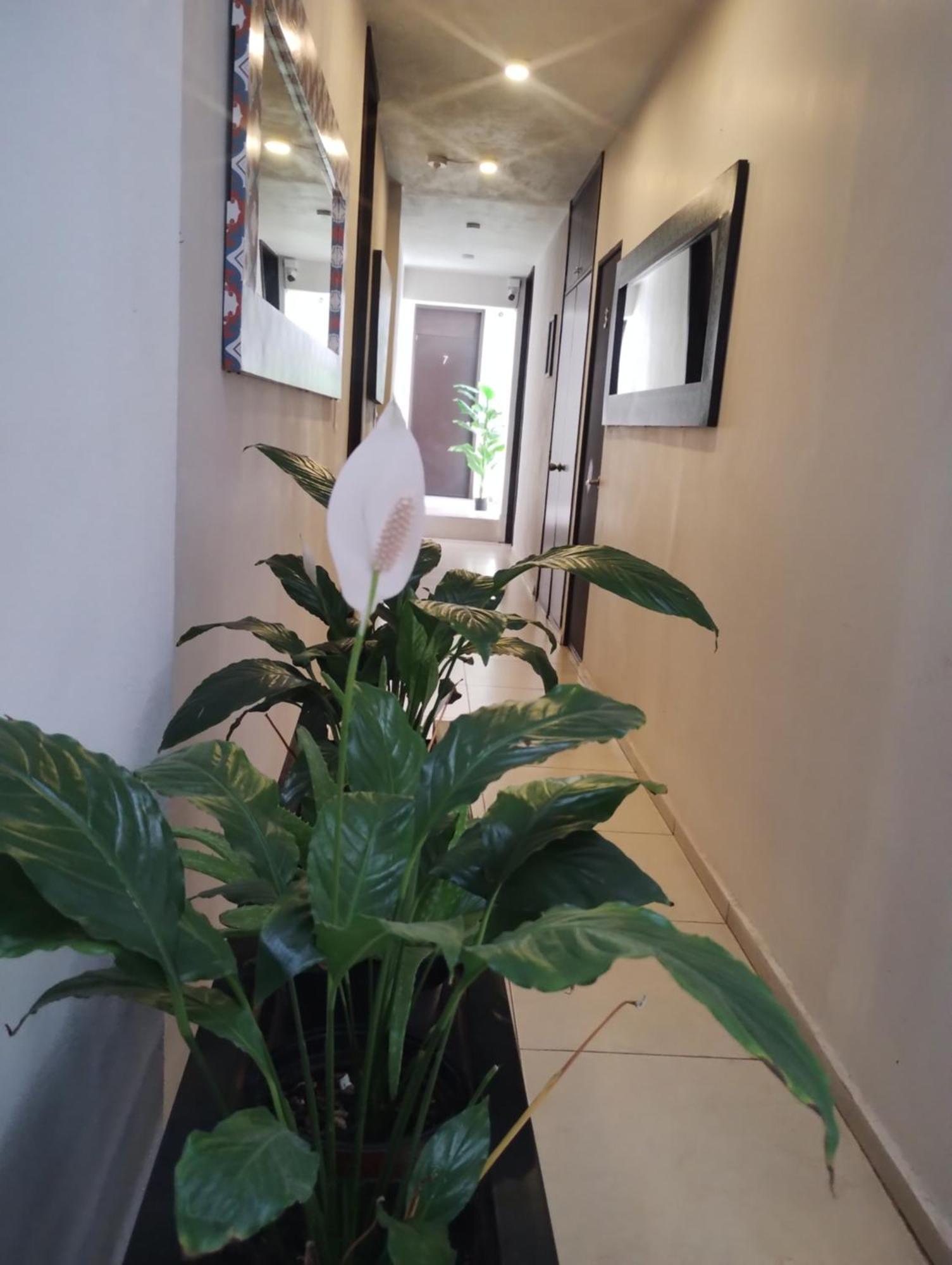 Hotel Tao Atlixco Zewnętrze zdjęcie