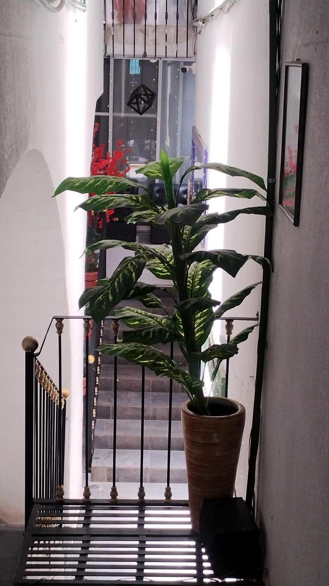 Hotel Tao Atlixco Zewnętrze zdjęcie